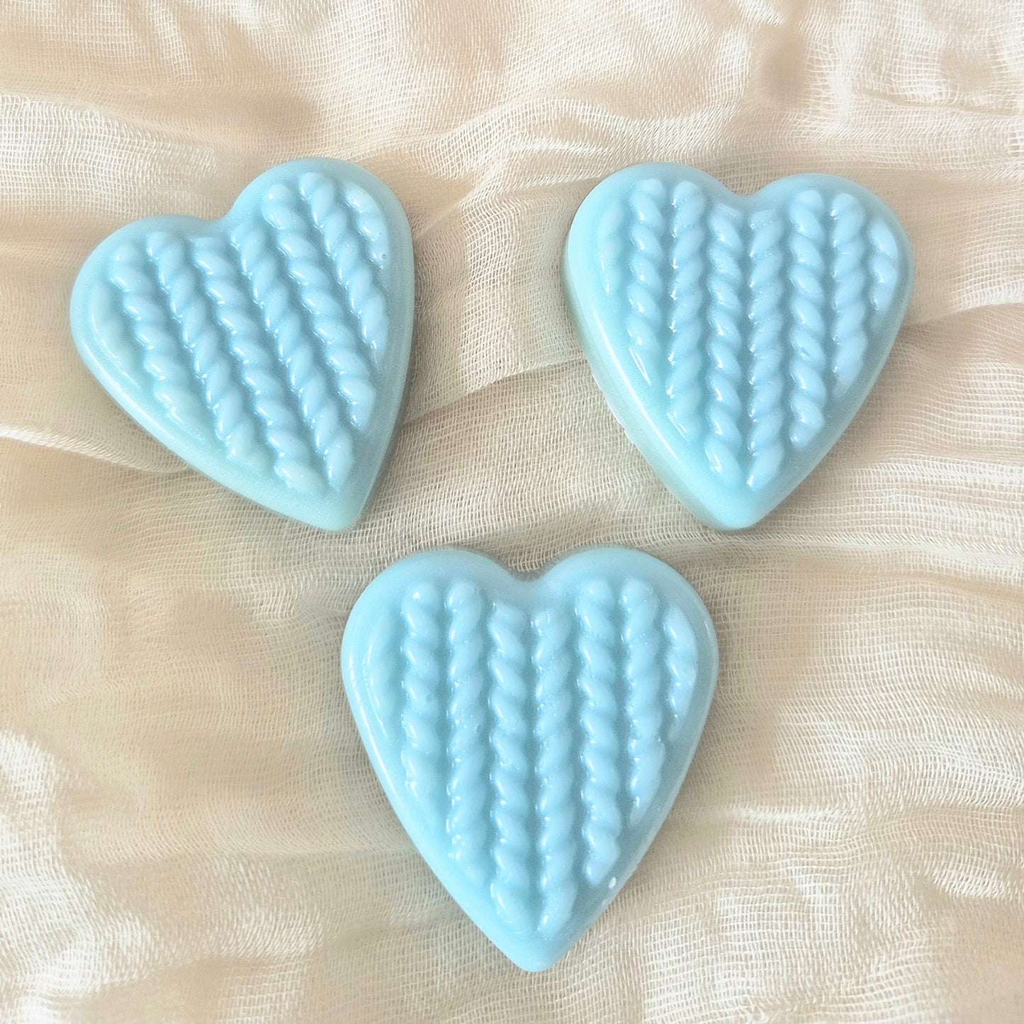 Coral ocean mini clam