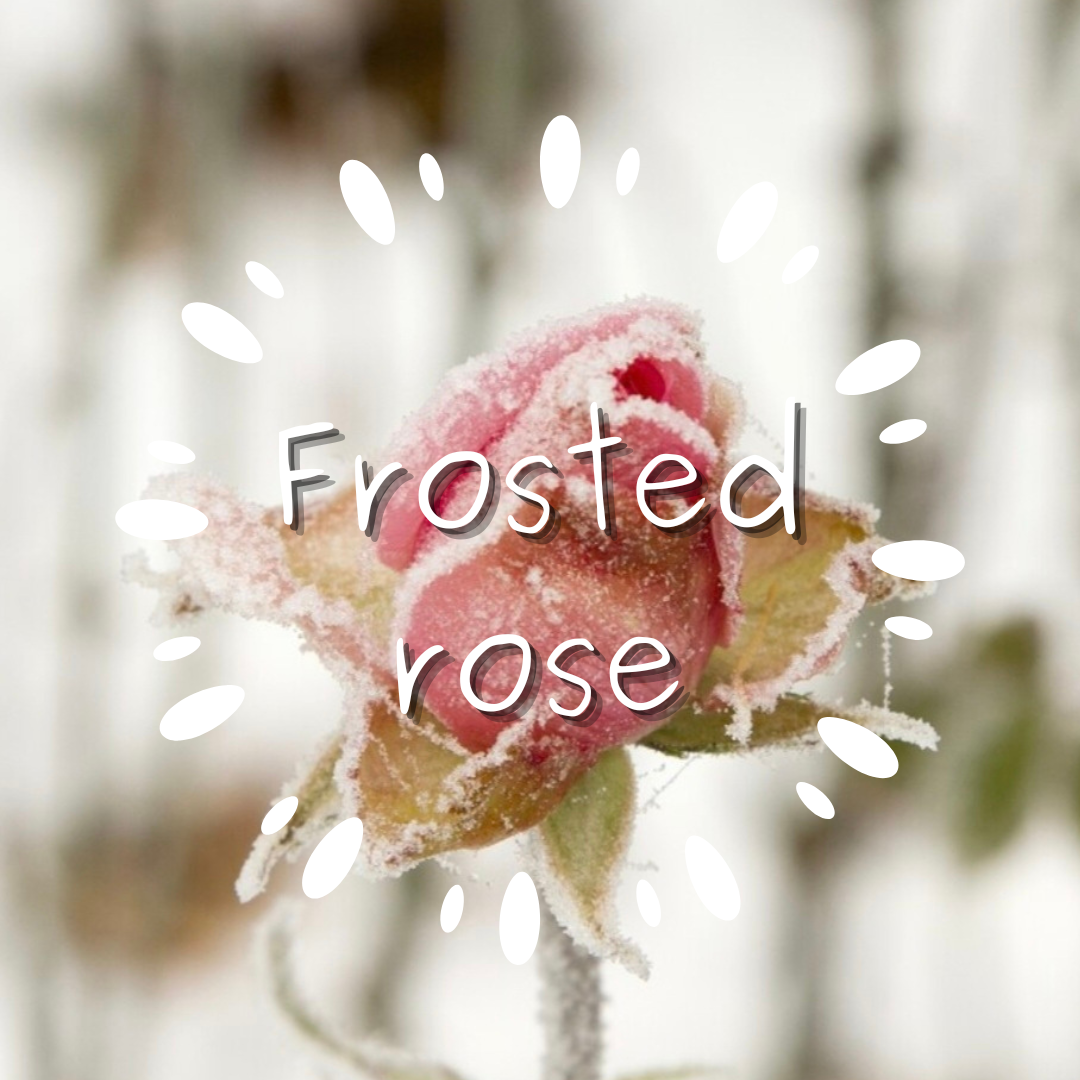 Frosted rose clouds
