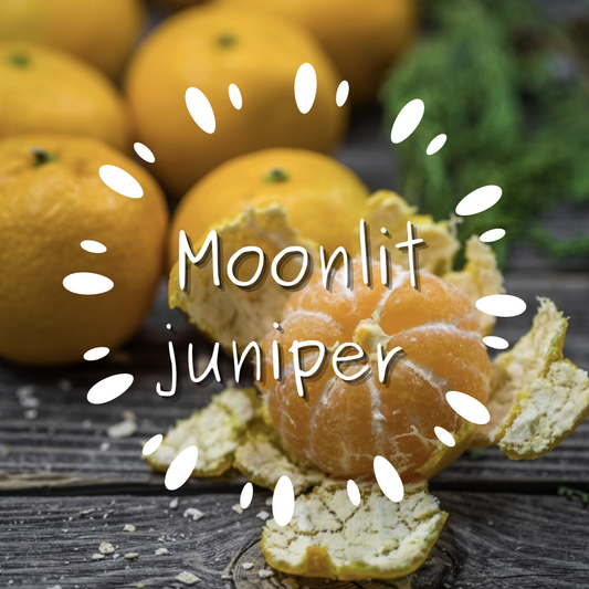 Moonlit juniper spaceman